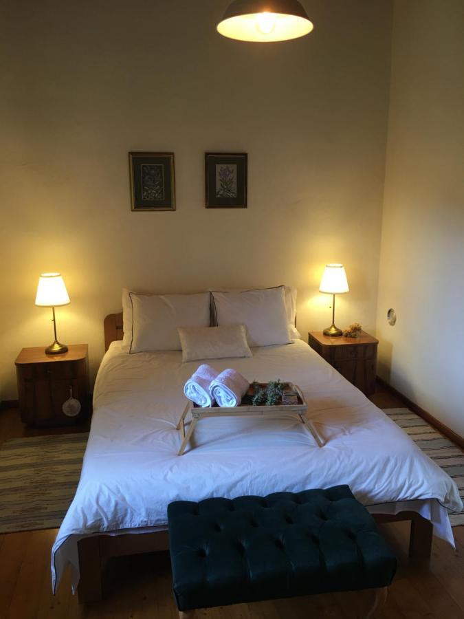 Holiday House Green Dream Obrovac Ngoại thất bức ảnh