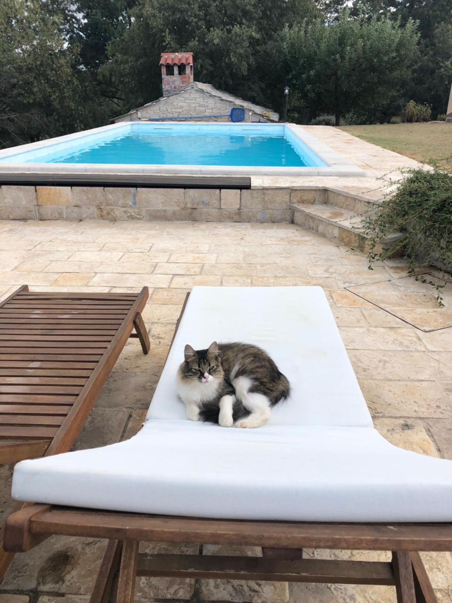 Holiday House Green Dream Obrovac Ngoại thất bức ảnh